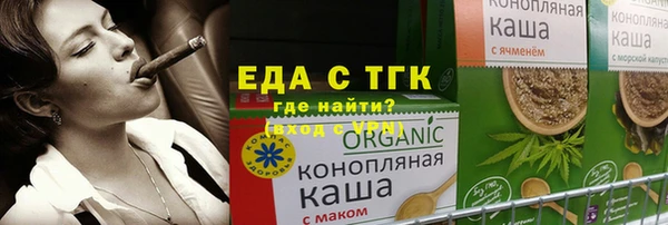 шишки Гусиноозёрск