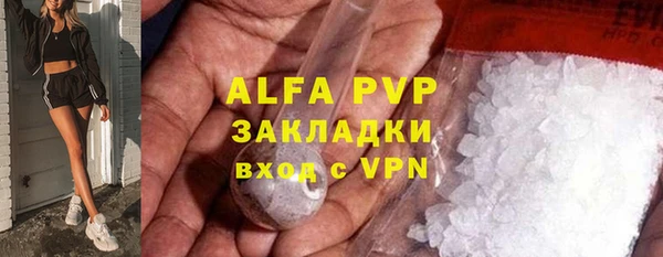шишки Гусиноозёрск