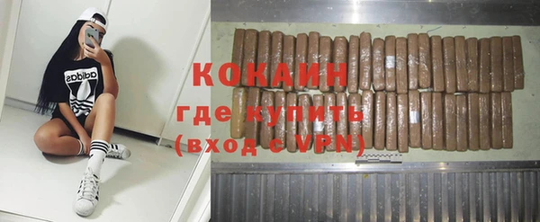 шишки Гусиноозёрск