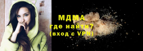 шишки Гусиноозёрск