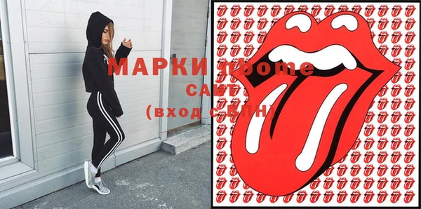 шишки Гусиноозёрск