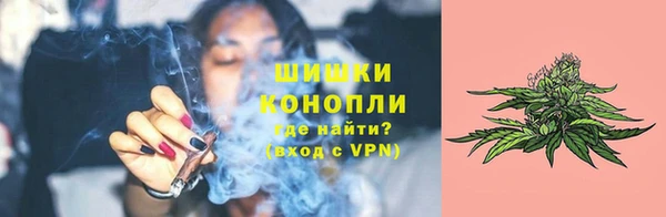 мет Гусев