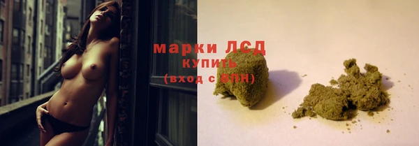 шишки Гусиноозёрск