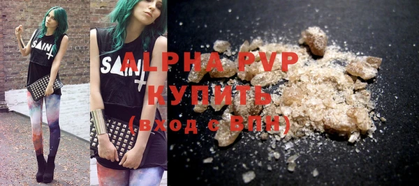 шишки Гусиноозёрск