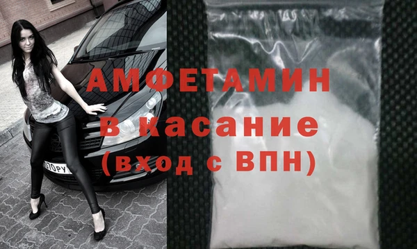 гидра Гусь-Хрустальный