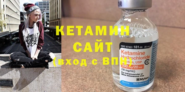 шишки Гусиноозёрск