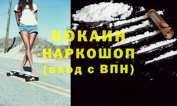 шишки Гусиноозёрск