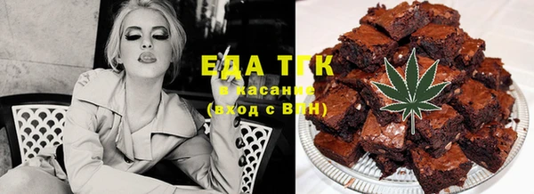 шишки Гусиноозёрск