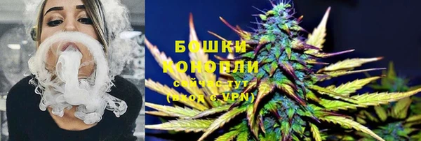 гидра Гусь-Хрустальный