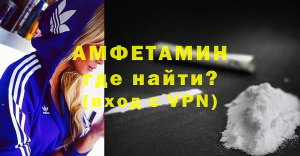 шишки Гусиноозёрск