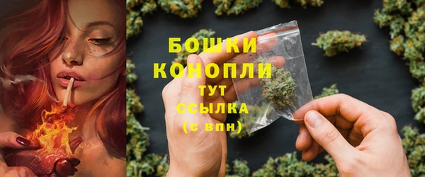 гидра Гусь-Хрустальный