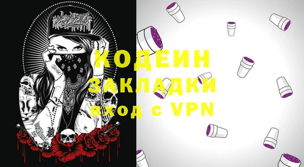 шишки Гусиноозёрск