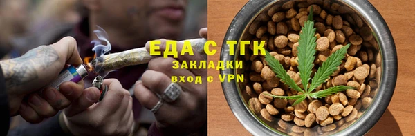 шишки Гусиноозёрск